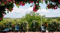 Вилла B&B с бассейном рядом с Чечина