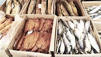 Оптовый магазин мяса. Прибыль 1 миллион. Окупаемость: 12 месяцев
