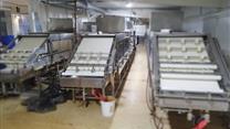 Производство Тофу Соевой спаржи Растительных продуктов