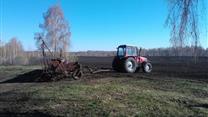 Сельскохозяйственное производство зерна, 300 Га в собственности