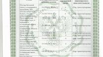 Продается компания по сбору и транспортировке мусора.