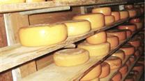 Оптовый магазин мяса. Прибыль 1 миллион. Окупаемость: 12 месяцев