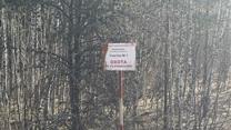 Земельный участок, площ.1400,00 кв.м Ярославская обл, Некрасовский р-н