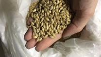 частная пивоварня в городе Севастополь Крым с сетью магазинов