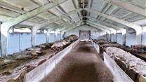 Животноводческий комплекс с возможностью изменения статуса земельного
