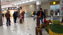 Детские аттракционы в крупных ТЦ