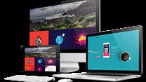 Веб-студия с клиентской базой и портфолио