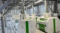 Мельничный комплекс на 150 тонн