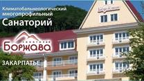 Климатобальнеологический многопрофильный санаторий Боржава