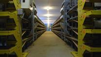Перепелиная ферма в собственности и готовым рынком сбыта, 120 магазинов