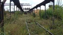 Лесоперерабатывающее предприятие