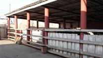 Предприятие по производству мяса и молока