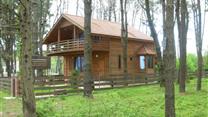 Организация базы отдыха в Парковой зоне Шекветили (SHEKVETILI)