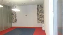 Офисное помещение 280кв.м. с ремонтом в центре