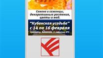Рекламный бизнес с оборудованием