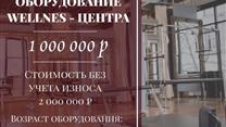 оборудование для бизнеса: wellness-тренажеры