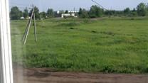 Предприятие по производству деревянных европаллетов и технической тары