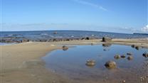 Участок 15,8 га на побережье Рыбинского водохранилища