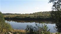 Продается Ферма в Новгородской Области