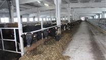 Продажа действующего прибыльного хозяйства в Свердловской области