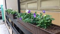 Продается готовый прибыльный бизнес  в Кракове Польша!