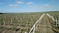 Фермерское хозяйство