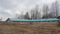 Овце ферма новая