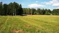 Участок 6 га (СНТ, ДНП)