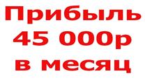 интернет магазин с доходом