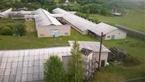 Продаётся свинводческий комплекс