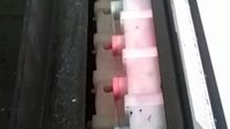 Печать на сувенирной продукции, изготовление чашек, кружек, чехлов 