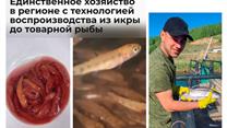 Форелевое хозяйство