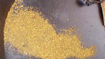 Продам лицензию на добычу россыпного золота 