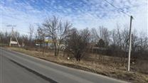 Продаю участок 15 Га с дендрарием в пригороде