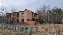 Оздоровительный лагерь «Лесные дали» Московская область