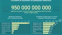 Онлайн сервис объявлений про животных 