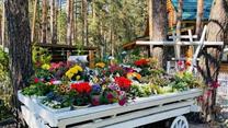 Продажа успешной гостиницы в сосновом бору: Готовый бизнес с потоком г