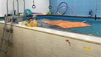 Прибыльный готовый действующий бизнес 
