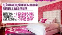 Работающий прибыльный бизнес с Wildberries