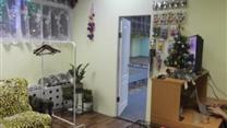 Сдам в аренду бизнес. Зоосалон