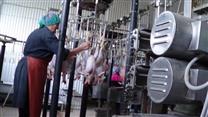 Действующий птицеводческий комплекс