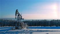 Предлагаем нефтегазовое месторождения ЯМАЛ 