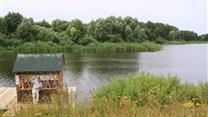 Культурное рыбное хозяйство. Московская область, Коломенский район. 11