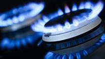 Продается готовый бизнес в Латвии