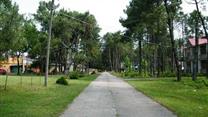 Организация базы отдыха в Парковой зоне Шекветили (SHEKVETILI)