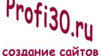 Интернет агентство Profi30.ru