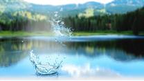 Компания импортер минеральной воды в ОАЭ