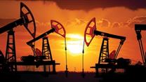 Нефтегазовая компания
