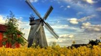 Мукомольное производство с высокой прибылью и оборудованием