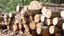 Лесо-, деревообрабатывающее производство